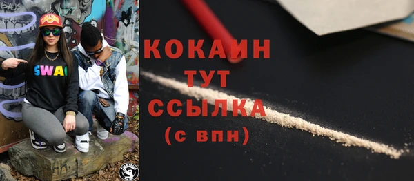 дживик Абаза