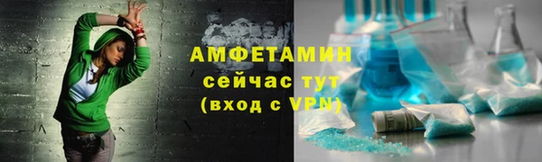 индика Няндома