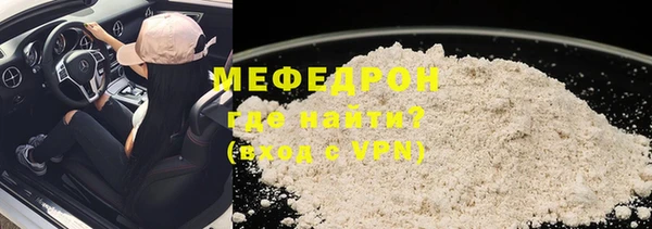 индика Няндома