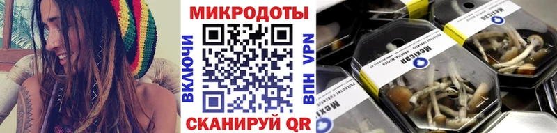 как найти закладки  Балаково  Галлюциногенные грибы MAGIC MUSHROOMS 
